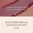 thumbnail image 4 of RMS Beauty ReDimension Hydra Powder Blush - Mai Tai Blush Women 0.25 oz, 4 of 5