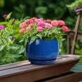 thumbnail image 4 of Maceta redonda de cerámica G EP para jardinería, 15 cm, con platillo, azul, 4 of 8