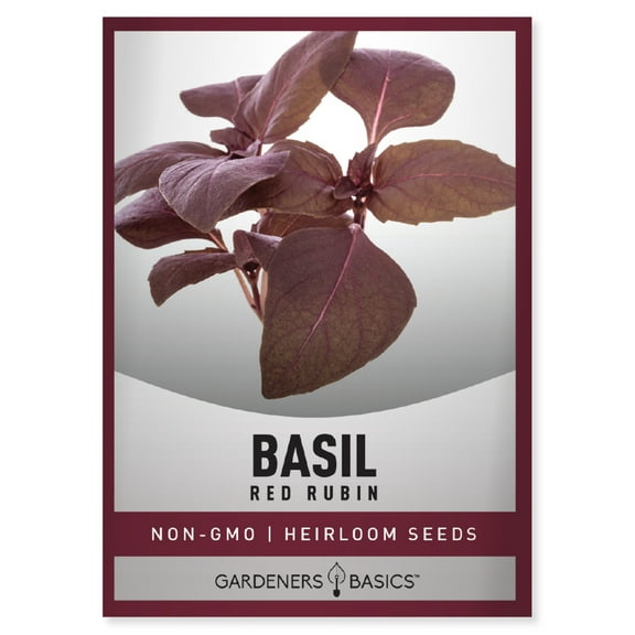 Red Rubin Basil Seeds