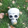thumbnail image 2 of Skull Decoration Prop Plastic Skeleton Head Halloween Day Coffee Bars Ornament, 2 of 5