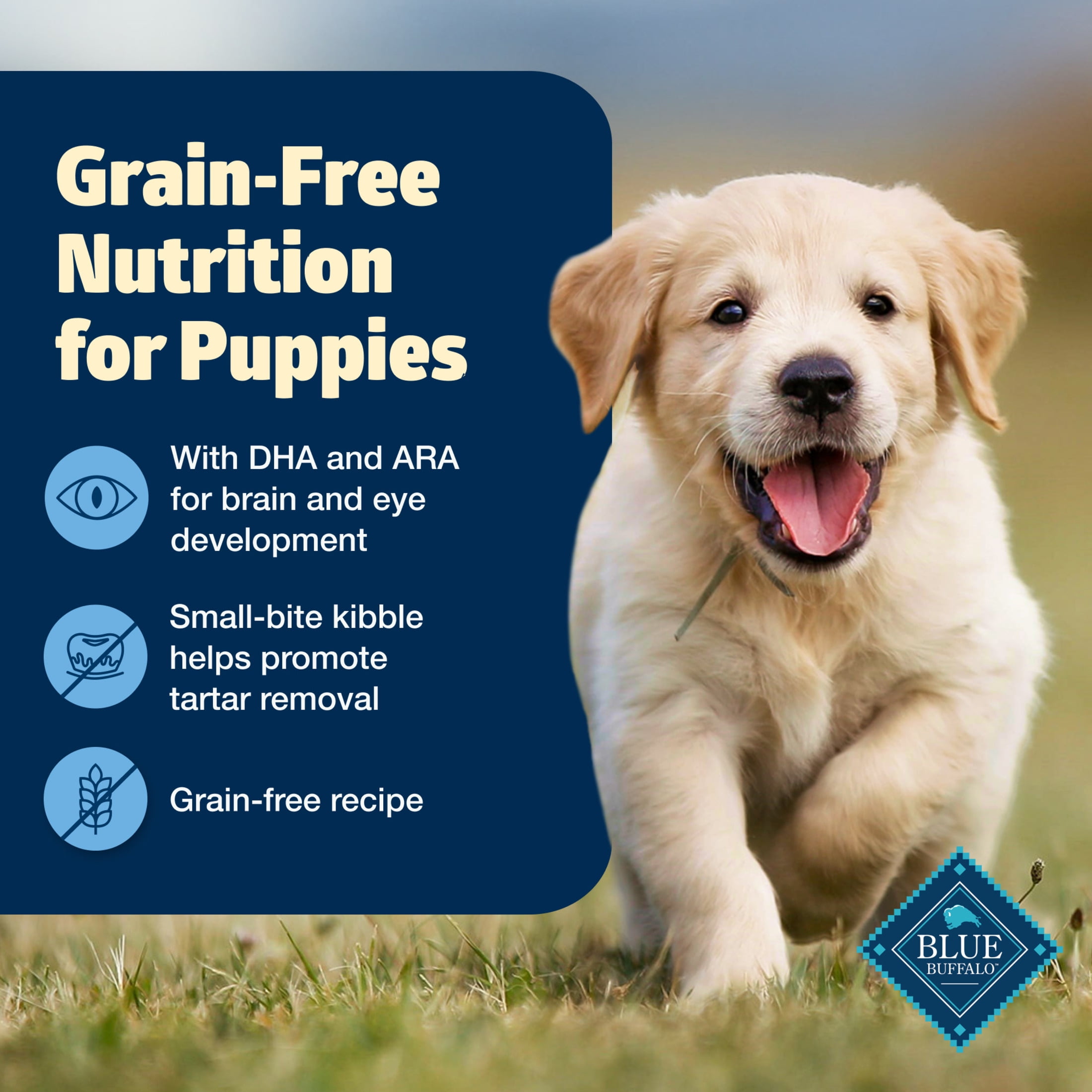 Blue Buffalo Freedom Grain-Free Puppy Dry Dog Food With DHA, Chicken & Potatoes, 4-lb. Bag