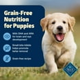 thumbnail image 4 of Blue Buffalo Freedom Grain-Free Puppy Dry Dog Food With DHA, Chicken & Potatoes, 4-lb. Bag, 4 of 12