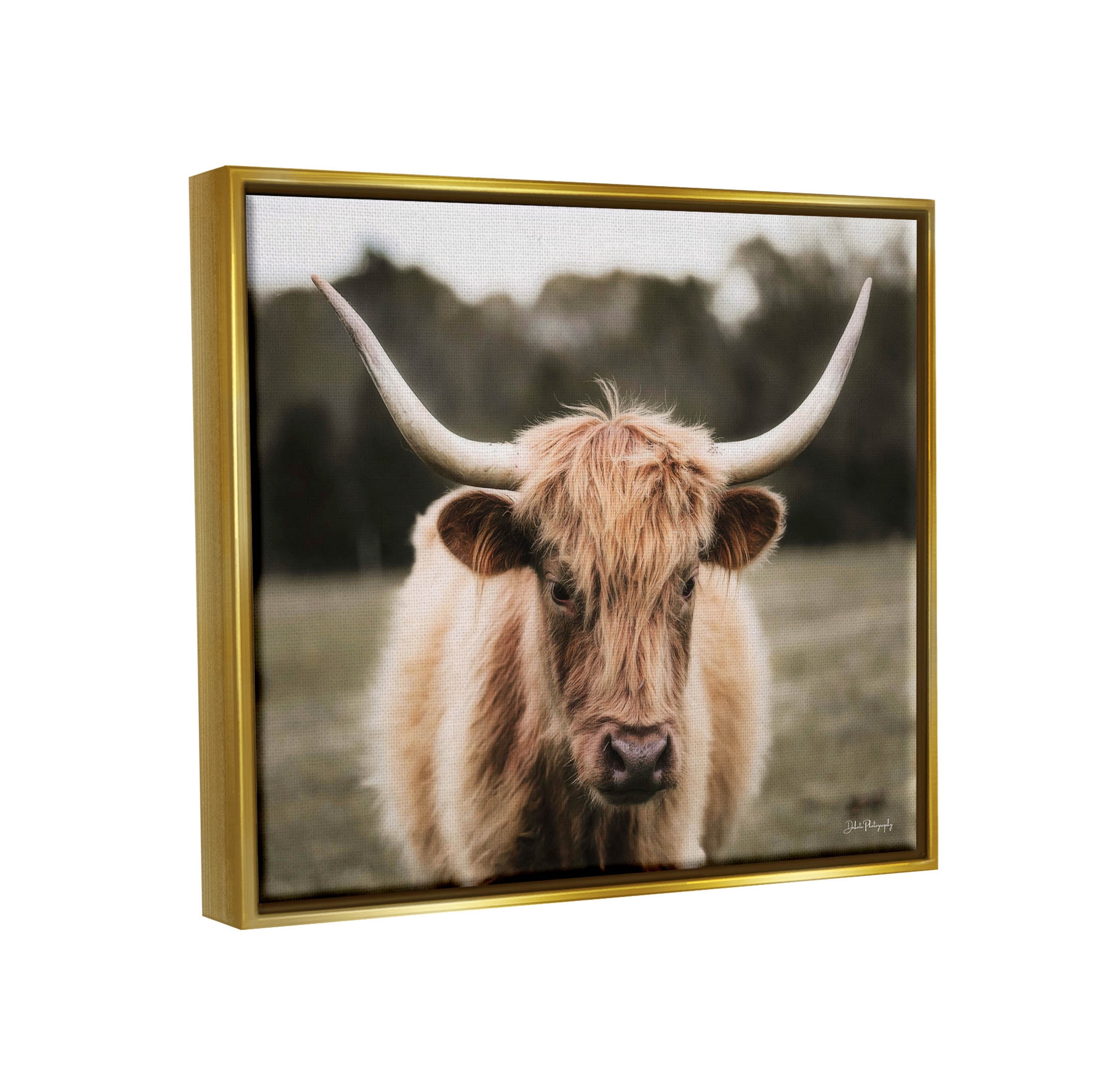 Stupell Industries Peaceful Cattle Rural Open Farmland Photograph Metallic Gold Floating Framed Canvas Print Wall Art, Design by Dakota Diener