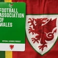 thumbnail image 3 of FA Wales Retro Snood, 3 of 4