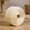 20m, variant on Zeiwohndc Natural Fiber Sisal Rope For Fixing Animal Scratching Post And Craft Accessory