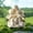 A-9, variant on Nkmbld Garden Decor Stake for Outside, Waterproof Flower Pot Decoration Stake, Acrylic Elf Lawns Ornament for Yard Lawn Balcony Pot Plants
