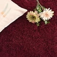 thumbnail image 4 of Alfombra DWeike Fluffy de color rojo burdeos para dormitorio y sala de estar, 90 x 150 cm, 4 of 8