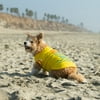 Vibrant Life Polyester Sunny Vibes Dog T-Shirt, Yellow, XXS