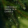 thumbnail image 4 of Thymes Tin Candle - 2.5 Oz - Frasier Fir, 4 of 10
