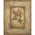 thumbnail image 2 of Poloson, Kimberly 15x18 White Modern Wood Framed Museum Art Print Titled - Grand Savin Rose, 2 of 4