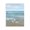 Sanderlings on Gentle Waves, variant on Stupell Industries Three Shorebirds & Gentle Waves Canvas Wall Art, design by Nan
