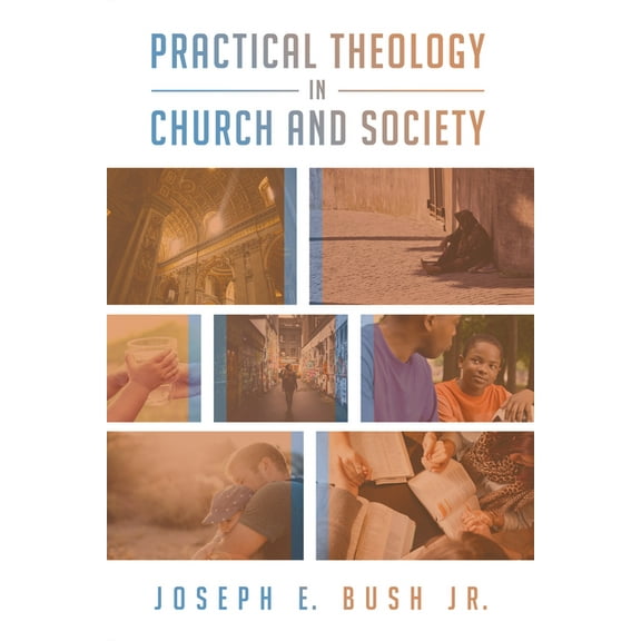 Practical Theology in Church and Society (Hardcover)