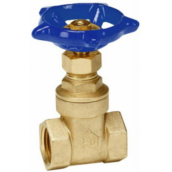 Homewerks Valve de Portail Filetée en Laiton 170-2-2-2 2 Po.