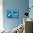 thumbnail image 3 of Narwhals, Animals Scenic Stretched Canvas Wall Art by Christian Darkin  Sold by Art.Com, 3 of 5