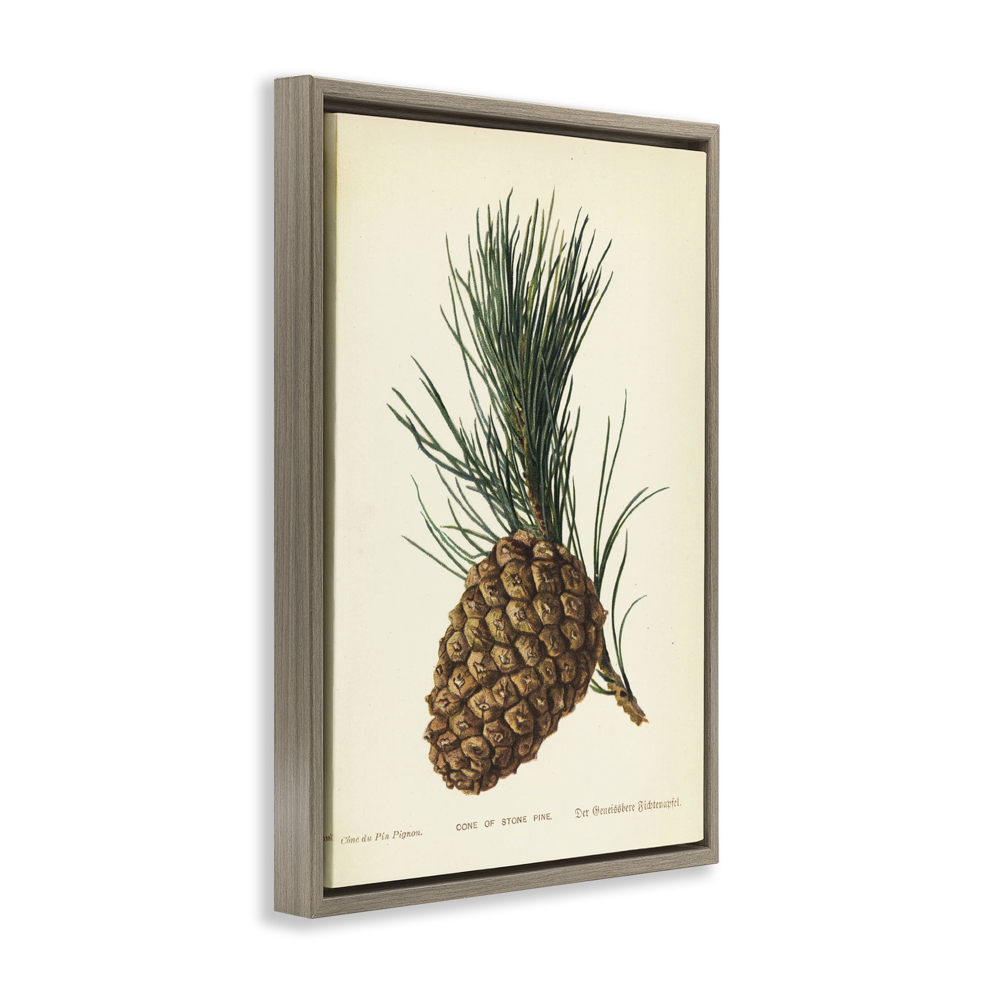 Stupell Industries Detailed Pine Cone Sprig Plants & Flowers Painting Brown Floater Framed Canvas Art Print Wall Art, 21 x 31