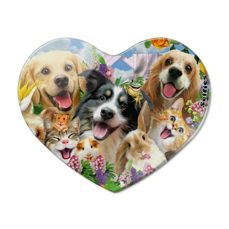 

Backyard Animal Pals Selfie Dogs Cats Hamster Frog Heart Acrylic Fridge Refrigerator Magnet