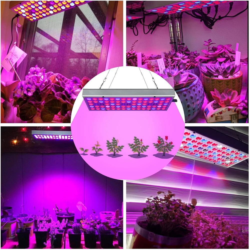 Juhefa on sale grow lights
