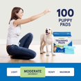thumbnail image 4 of Orina para mascotas Puppy Pads Stack Man para adiestramiento de perros, 100 unidades, 4 of 8