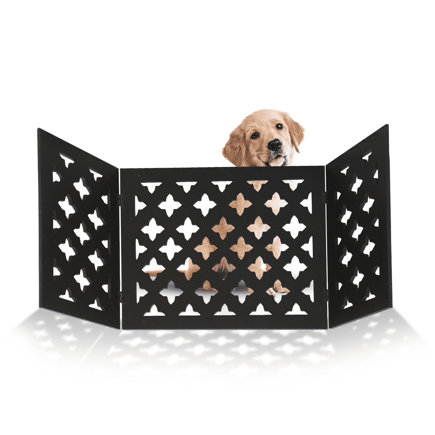 decorative dog gates