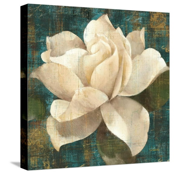 Art.com Gardenia Blossom Turquoise Stretched Canvas Print Wall Art by Albena Hristova, 16" x 16"