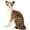 Style5, variant on BESTSKY Cat Stuffed Animal,40cm Cute Shape Cat Stuffy,Soft Fabric Detailed Craftsmanship Stuffed Cat,Style3