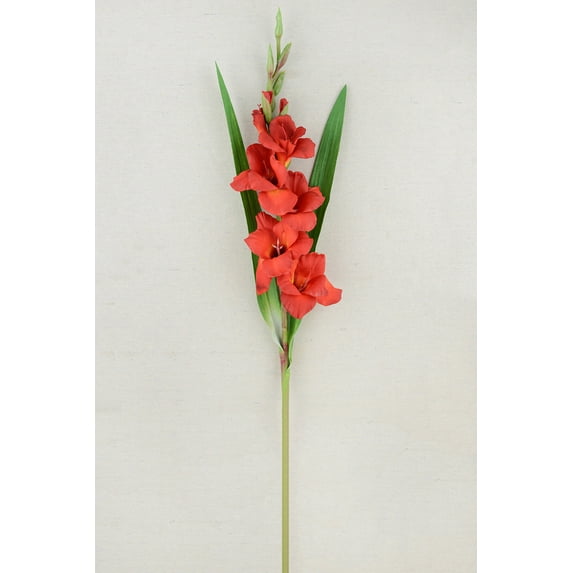 Gladiolus Flower Red 33 inches
