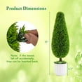 View all media