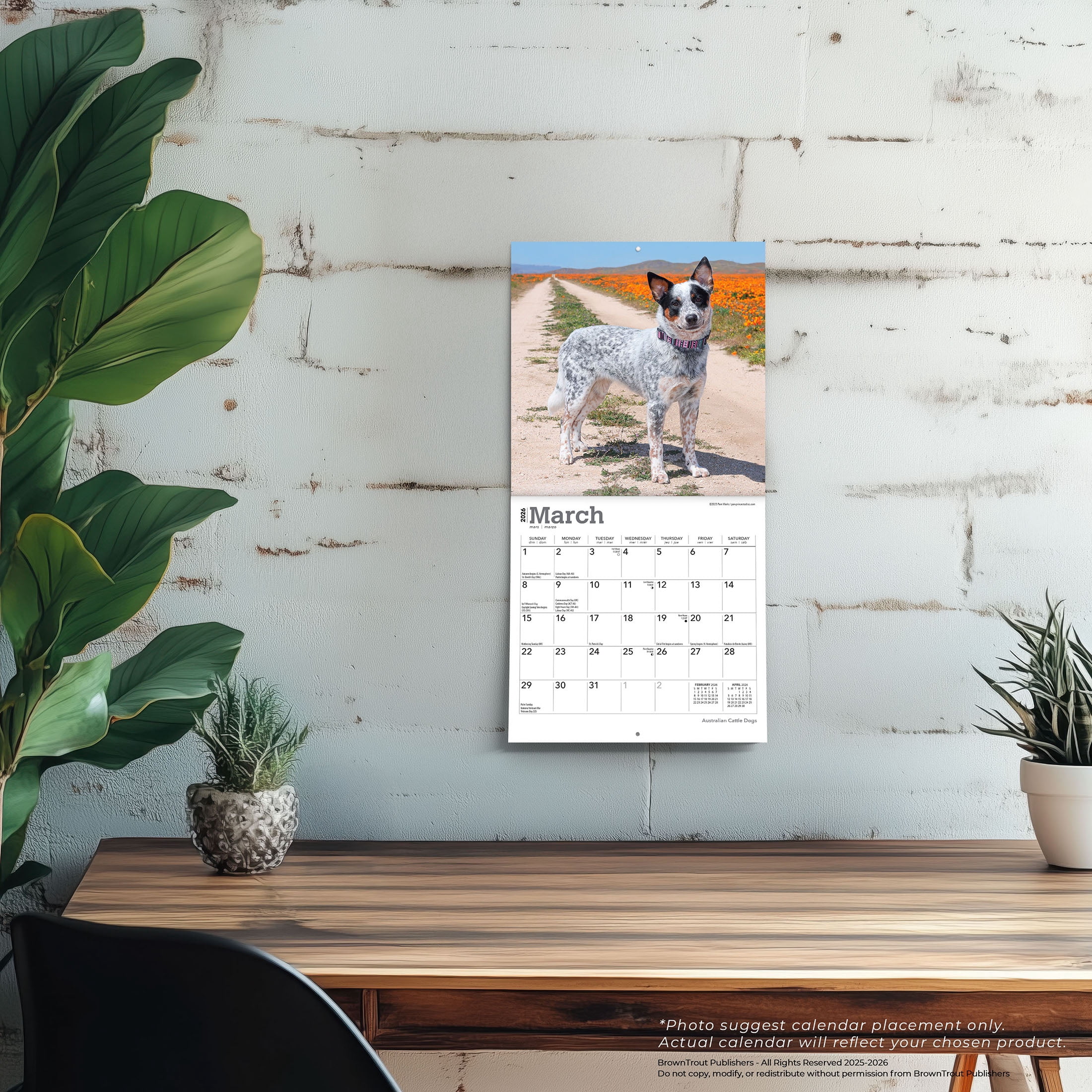 Australian Cattle Dogs | 2026 7x14" (Hanging) Mini Wall Calendar | BrownTrout