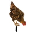 thumbnail image 4 of Letrero acrílico para gallina, decoración de jardín, estacas de animales, patio realista Estilo A Cola estacas de patio, 4 of 8
