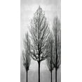 thumbnail image 2 of Bennett, Kate 14x24 Black Ornate Wood Framed with Double Matting Museum Art Print Titled - Trees on Silver Panel II, 2 of 4
