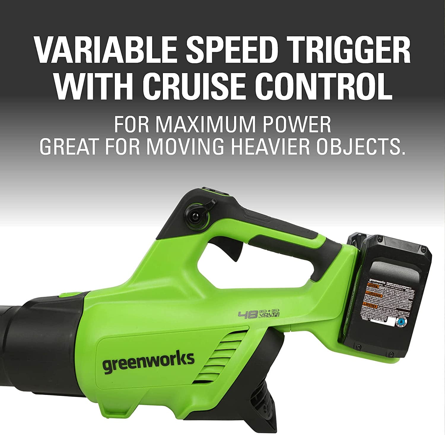 Greenworks 48V (24V x 2) Cordless Brushless Axial Leaf Blower (140 MPH / 585 CFM / 200+ Compatible Tools), (2) 4.0Ah Batteries and Dual Port Rapid Charger Included