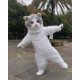thumbnail image 2 of Venta caliente de alta calidad lindo gato inflable muñeca de dibujos animados disfraz de fiesta de cumpleaños ropa de cosplay disfraz de mascota animal, 2 of 5