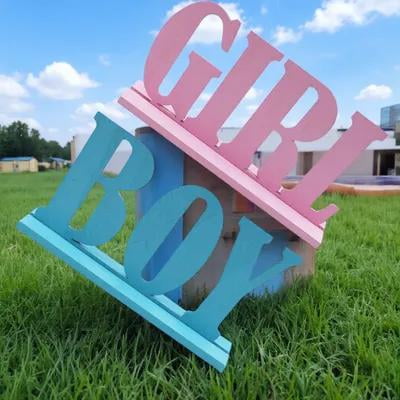 Topbathy Gender Reveal Wood Ornament Assorted Color for Special Events