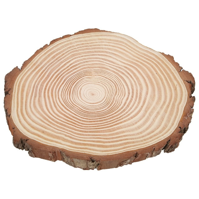 Peahefy Unfinished Wood Slices Wood Slices With Bark Irregular Wood Circles Unfinished Wood Circles Photo Props For Background Decoration Pyrograph DIY