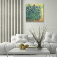 thumbnail image 5 of Epic Art 'Irises in Bloom II' by Tim O'Toole, Acrylic Glass Wall Art, 24"x24", 5 of 5