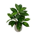 thumbnail image 2 of Lerman Decor's slim plant in zigzag pot, 2 of 5