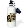 3dRose PIT BULL WITH CHAIN COLLAR, Sports Water Bottle, 21oz