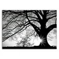 thumbnail image 3 of 25 x 18 Oak Silhouette by PhotoINC Studio- Wall Art Print on Canvas Fabric Black, 3 of 3