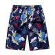 thumbnail image 1 of Bañador corto de secado rápido para hombre, traje de baño Sexy, pantalones cortos de playa, novedad de verano, 2022 Fivean unisex, 1 of 2