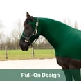 thumbnail image 3 of Resistance Horse Hood Pull-On with Face & Forelock Saver, Lycra Material, All Season, Small - Xlarge sizes, 3 of 7