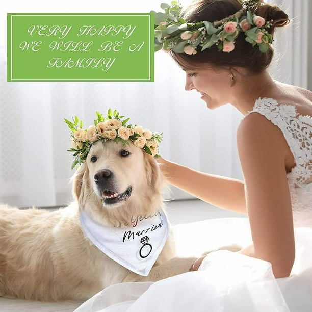 My humans are 2025 getting married dog bandana