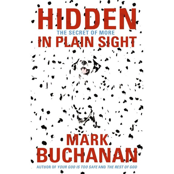 Pre-Owned The Hidden in Plain Sight: The Secret of More (Paperback) 0849964652 9780849964657