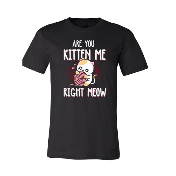 Are You Kitten Me Right Meow T-Shirt