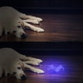 thumbnail image 4 of Linterna UV de luz negra, detector de orina de mascotas de 51 LED para orina de perro/gato/conejo, manchas, chinches, curado con pegamento UV, detector de dinero falsificado, 4 of 5