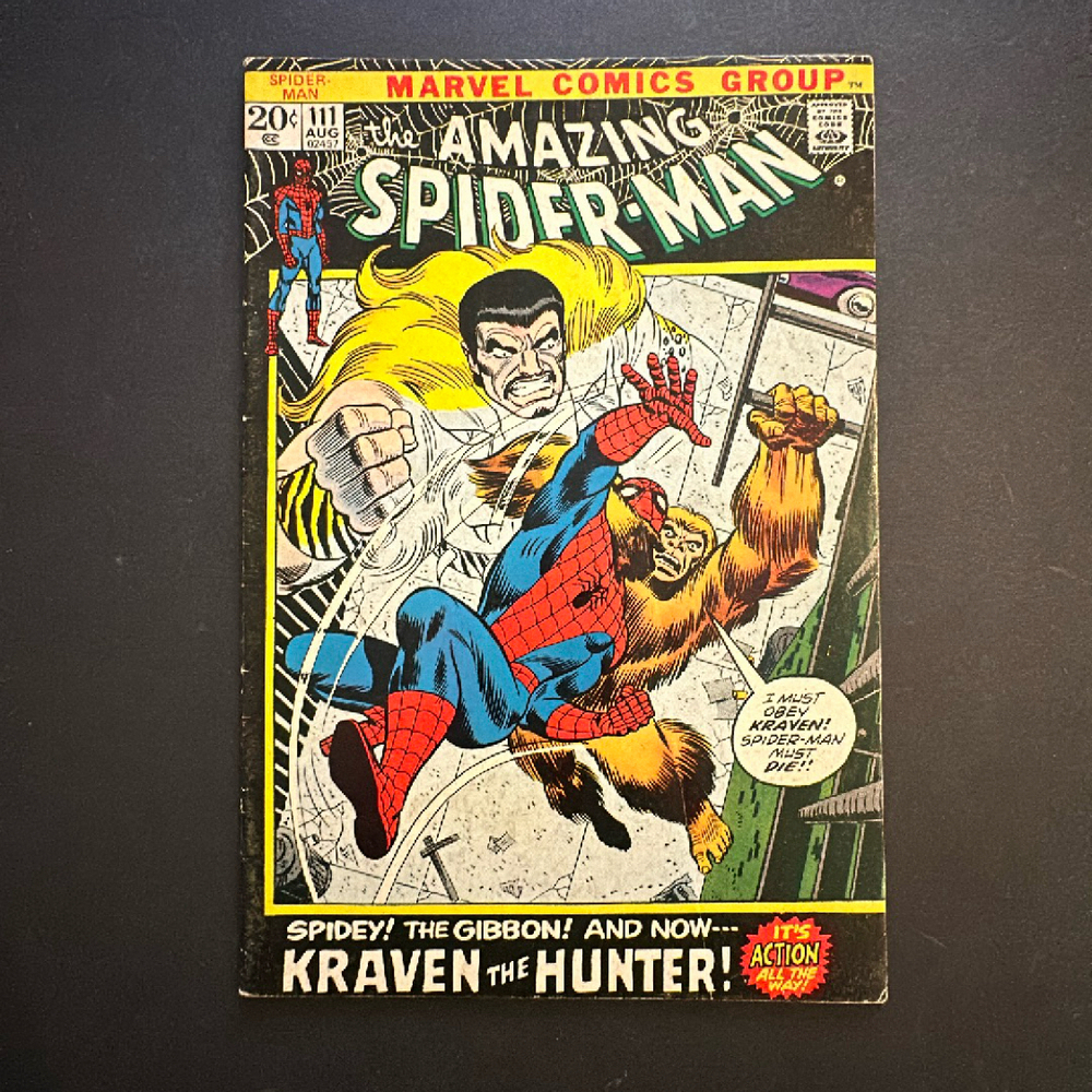 Cover of The Amazing Spider-Man #111