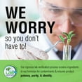 thumbnail image 4 of Solaray Peppermint Oil Enteric Coated w/ Rosemary & Thyme Oil | Healthy, Soothing Digestion Support | 60 Softgels, 4 of 6