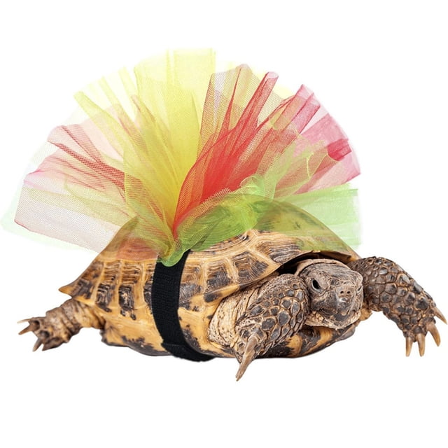 Elegant Reptile Photo Apparel Dress with Delicate Lace Frills for Turtle Pet Accessory