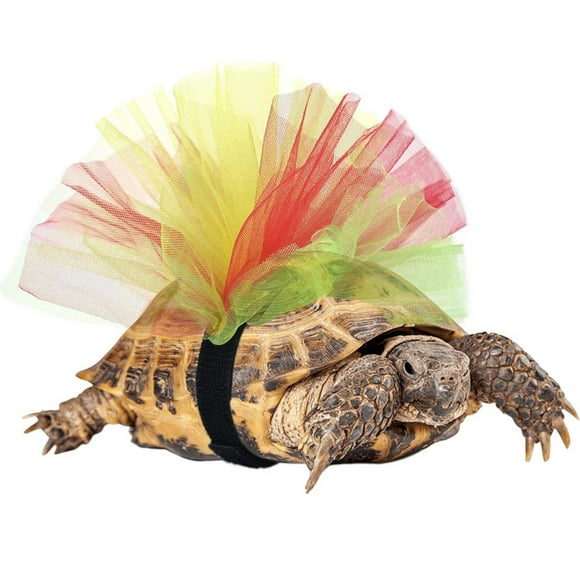 Robe Élégante de Tortue avec Volants en Dentelle pour Photo de Reptile, Vêtement, Design TPR pour Dos de Tortue, Taille pour Intérieur et Extérieur, Convient