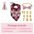 thumbnail image 2 of Decoraciones de Cumpleaños para Gatos Unique Bargains Sombrero y Bandana para Gatos, 2 of 7
