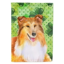 Carolines Treasures BB9894GF Sheltie St Patricks Flag Garden Size  Small multicolor